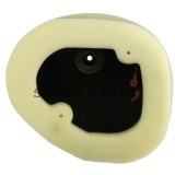 Въздушен филтър -ATHENA- S410250200028, Kawasaki KLX 450 2008-2020