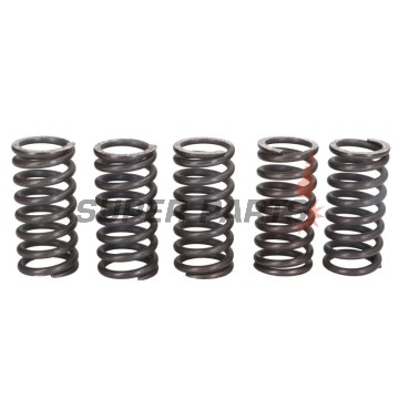 Пружини за съединител комплект -TRW- MEF121-5, Husqvarna SM610/610S/610E/610ie/R (1999-2010); Suzuki GZ250 Marauder, VL250 Intruder (1999-2008); Triumph Adventurer 900, Daytona 750/900, Legend 900TT, Sprint 900/ST/FT, Street Triple 900, Thunderbird 900, T