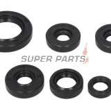 Комплект семеринги за двигател -WINDEROSA- Can-Am DS 650 2000-2007