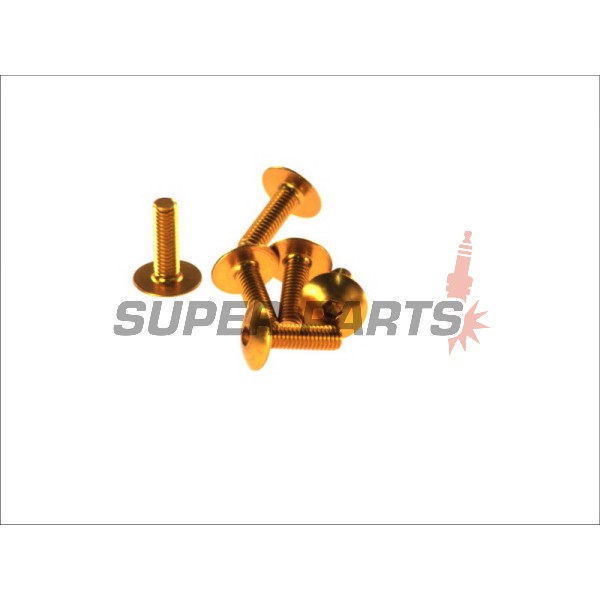 Болтове комплект -VICMA- M6x20, златисти, 6бр