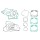 Пълен комплект гарнитури за двигател -WINDEROSA- KTM EXC 250 2005, KTM SX 250 2005-2006, KTM XC 250 2006, KTM XC-W 250 2006