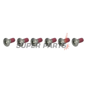 Болтове за спирачен диск -TRW- MSS111-6, M6x1.25mm, 17mm, 6бр