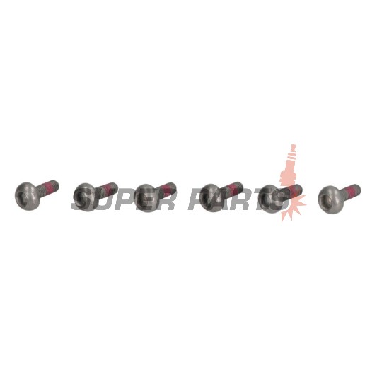 Болтове за спирачен диск -TRW- MSS120-6, M6x1.00 - 23mm, 6бр