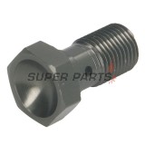 Банджо болт -TRW- M10x1.00 (Brembo), титан