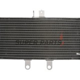 Радиатор -4 RIDE- Suzuki GSF 650 2007-2013