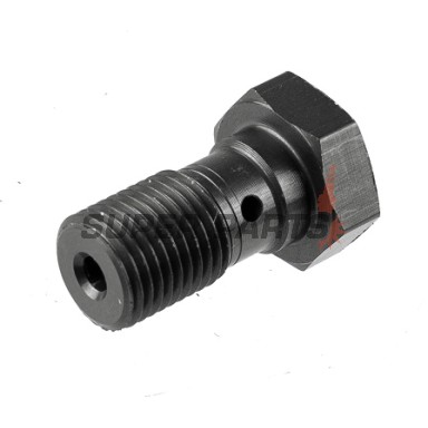 Банджо болт -TRW- M10x1.00 (Brembo), титан