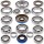 Ремонтен комплект за диференциал -ALL BALLS- Polaris Ranger 1000 2015-2017, Ranger 325 2015-2016, Ranger 900 2014-2017, RZR 570 2012-2017, RZR 900 2011-2015, Sportsman 325/570 2015
