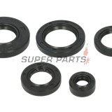 Комплект семеринги за двигател -WINDEROSA- Arctic Cat Arctic Cat 650 2005-2011, Arctic Cat TRV 650 2007-2008