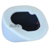 Въздушен филтър -ATHENA- S410250200028, Kawasaki KLX 450 2008-2020
