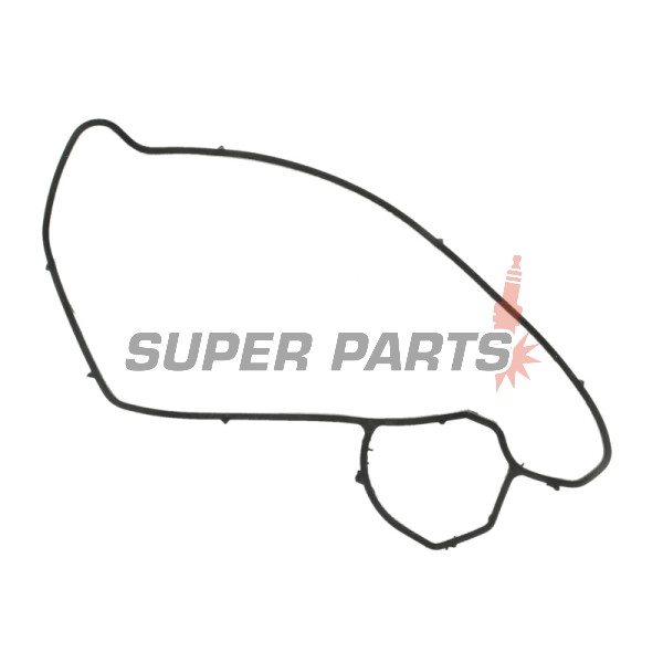 Гарнитура за водна помпа -ATHENA- BMW F 650 1999/2008-2012, F 800 2006-2015