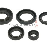 Комплект семеринги за двигател -WINDEROSA- Arctic Cat Arctic Cat 650 2005-2011, Arctic Cat TRV 650 2007-2008