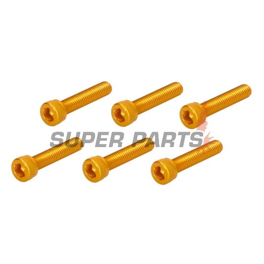 Болтове комплект -VICMA- M6x30, златисти, 6бр